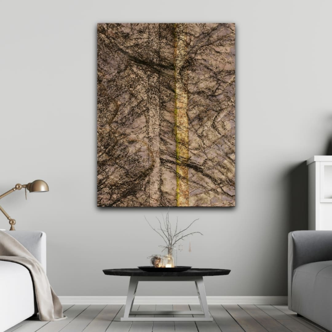 insituartroom_digital_GoldenLine_Photoart